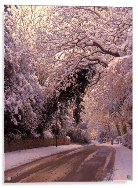  Late afternoon snow Acrylic by sylvia scotting