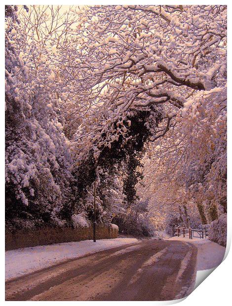  Late afternoon snow Print by sylvia scotting