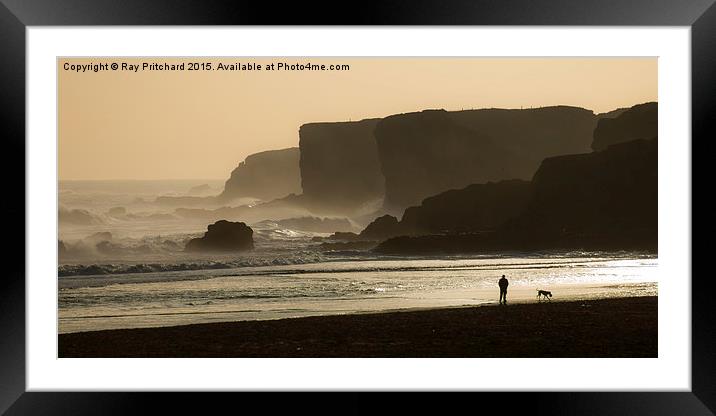 South Shields Beach Walkies Framed Mounted Print by Ray Pritchard