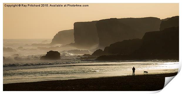 South Shields Beach Walkies Print by Ray Pritchard