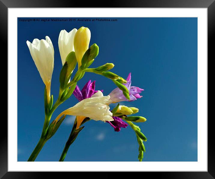 In the sky, Framed Mounted Print by Ali asghar Mazinanian