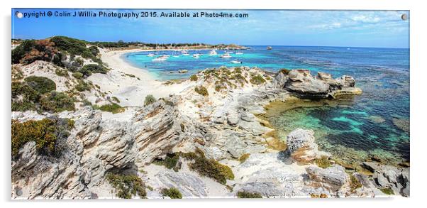  Longreach Bay Rottnest Island Perth WA Acrylic by Colin Williams Photography