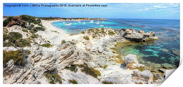  Longreach Bay Rottnest Island Perth WA Print by Colin Williams Photography