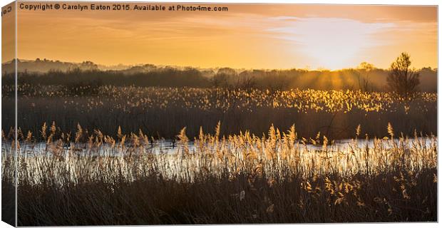  Somerset Levels Sunset Canvas Print by Carolyn Eaton