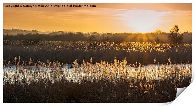  Somerset Levels Sunset Print by Carolyn Eaton