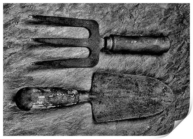  Garden Tools Print by Paul Want