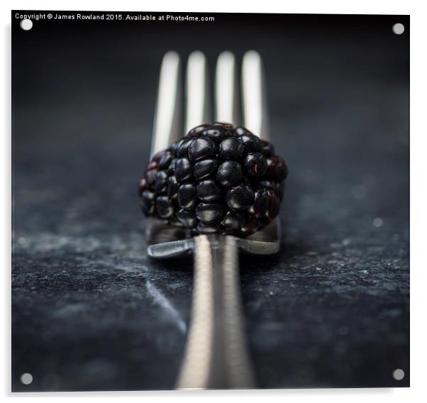  Blackberry Acrylic by James Rowland