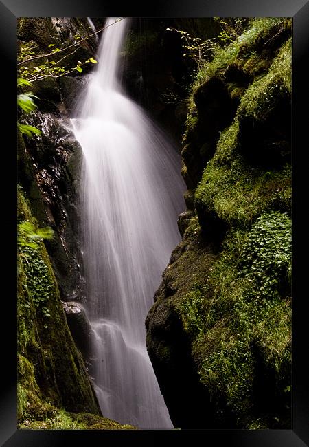 Mossy Fall Framed Print by Kevin Baxter