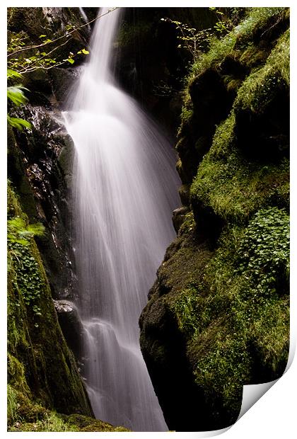 Mossy Fall Print by Kevin Baxter