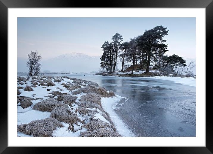  A Winter dawn Framed Mounted Print by Stephen Taylor