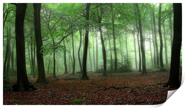  Summer Misty Woods Print by Ceri Jones