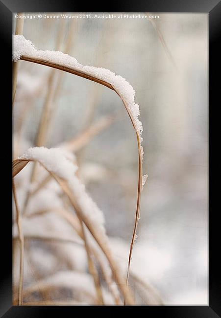 Winter snow 2  Framed Print by Corrine Weaver
