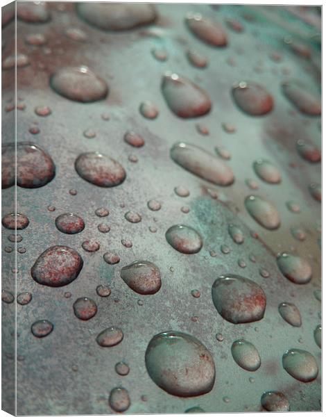  raindrops on coloured metal Canvas Print by Heather Newton