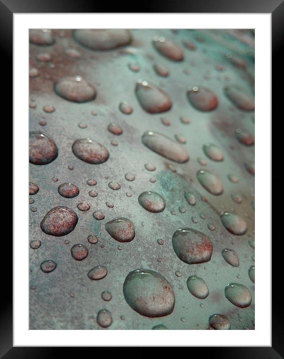  raindrops on coloured metal Framed Mounted Print by Heather Newton