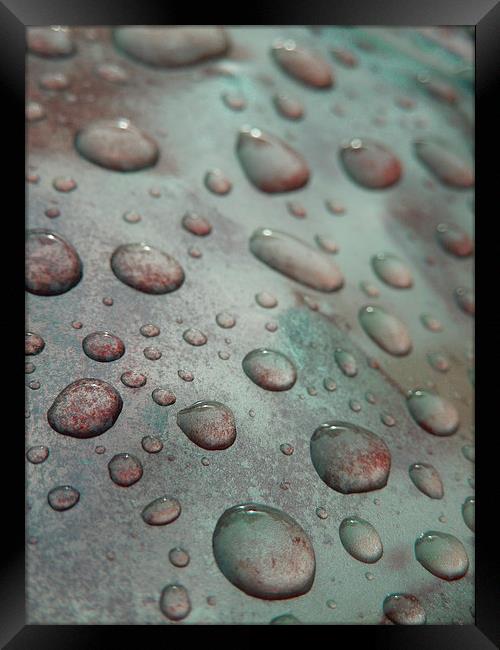  raindrops on coloured metal Framed Print by Heather Newton