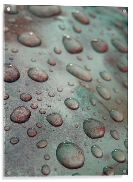  raindrops on coloured metal Acrylic by Heather Newton