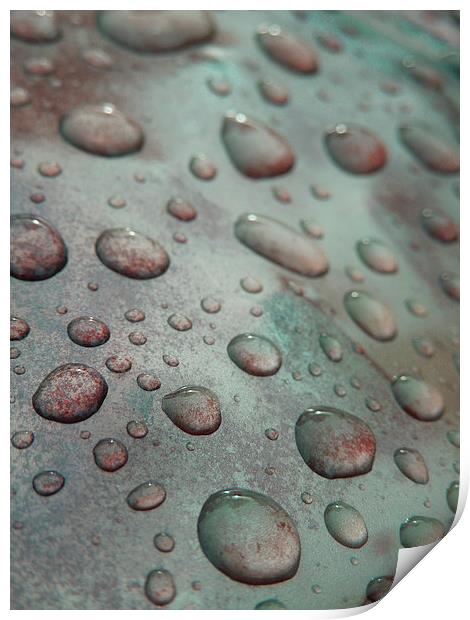  raindrops on coloured metal Print by Heather Newton