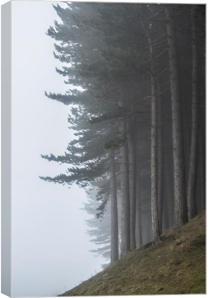  On The Edge Canvas Print by Sean Wareing