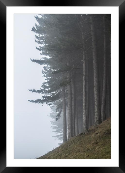  On The Edge Framed Mounted Print by Sean Wareing