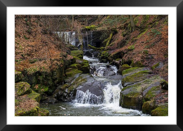  Healey Dell Framed Mounted Print by Fine art by Rina
