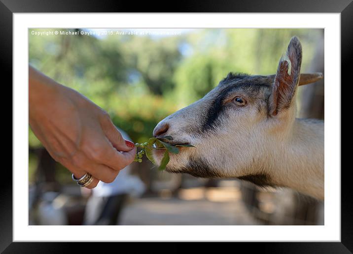  We are responsible for those we have Framed Mounted Print by Michael Goyberg