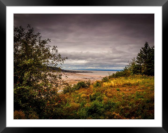 Joggins Beach, Nova Scotia, Canada Framed Mounted Print by Mark Llewellyn