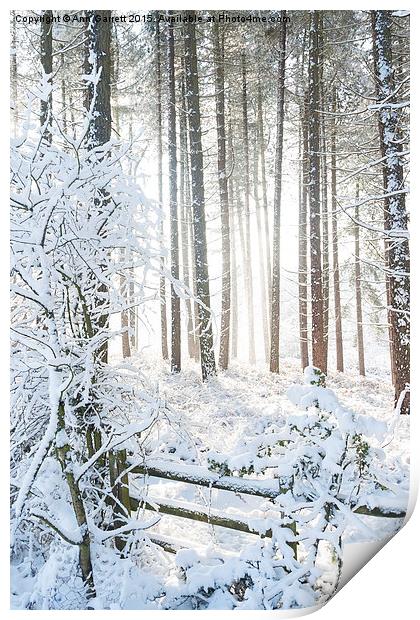 Winter Sunrise Print by Ann Garrett