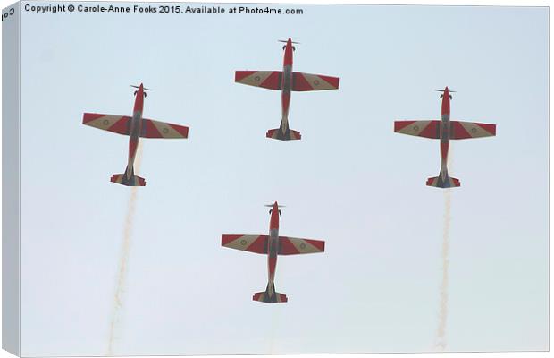   The Roulettes Canvas Print by Carole-Anne Fooks