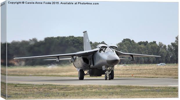  F 111 Just After Landing Canvas Print by Carole-Anne Fooks
