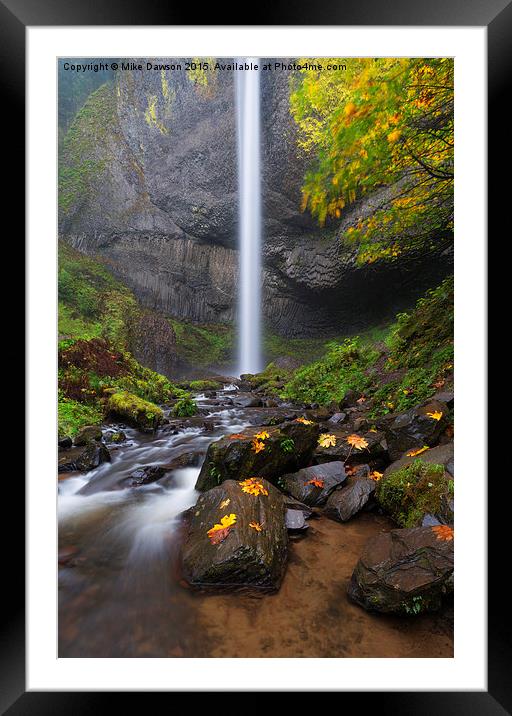 Latourell Falls Autumn Framed Mounted Print by Mike Dawson