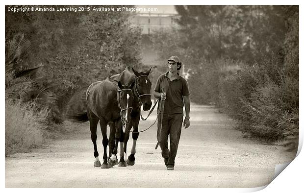  The Walk Home Print by Amanda Leeming