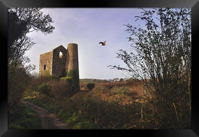 Great Flat Lode, Cornwall Framed Print by C.C Photography
