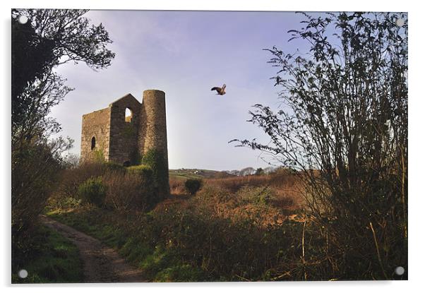 Great Flat Lode, Cornwall Acrylic by C.C Photography