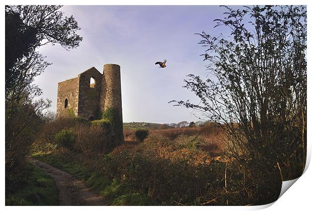 Great Flat Lode, Cornwall Print by C.C Photography