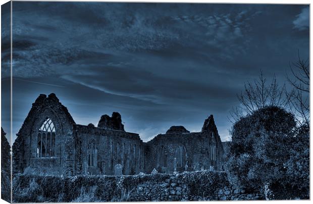 Ruins of Ireland - Dominican Priory Athenry Canvas Print by Andreas Hartmann