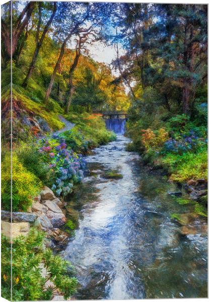 Forest Stream  Canvas Print by Ian Mitchell