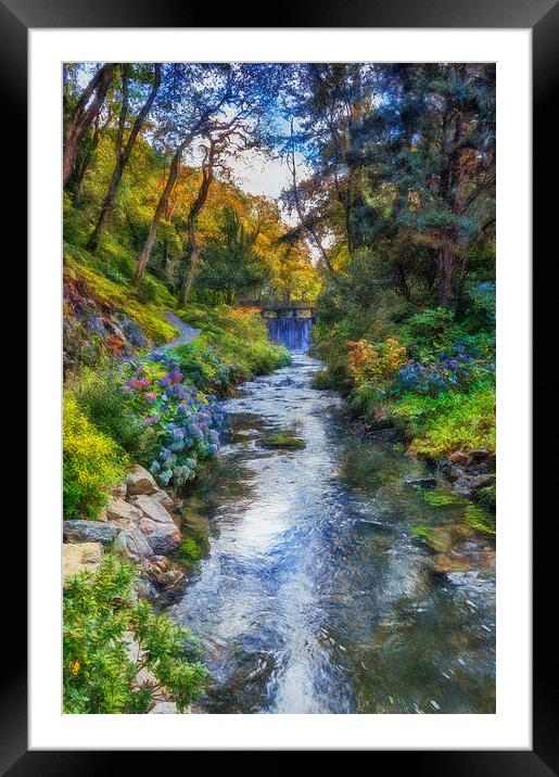 Forest Stream  Framed Mounted Print by Ian Mitchell