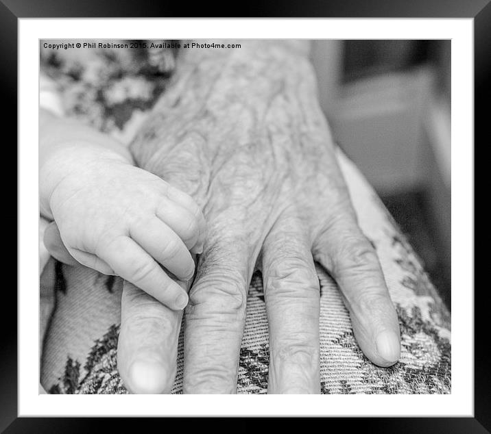  Grandfather and baby hand on top of each other  Framed Mounted Print by Phil Robinson
