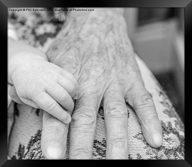  Grandfather and baby hand on top of each other  Framed Print by Phil Robinson