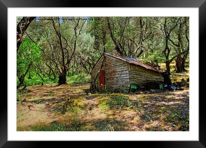  Olive Grove Cabin Framed Mounted Print by Diana Mower
