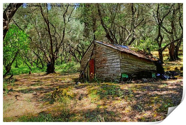  Olive Grove Cabin Print by Diana Mower