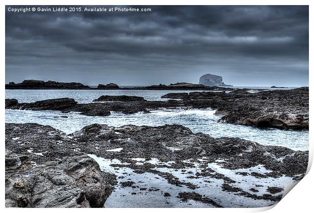  Rocks and the Bass Rock Print by Gavin Liddle