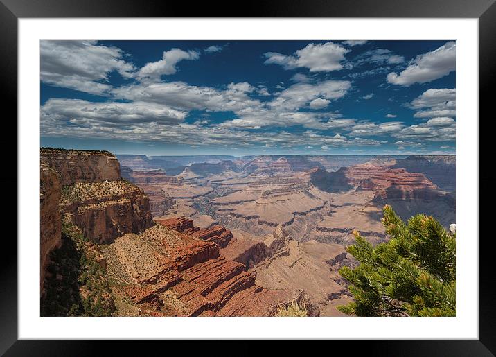  The Grand Canyon Arizona USA Framed Mounted Print by Greg Marshall