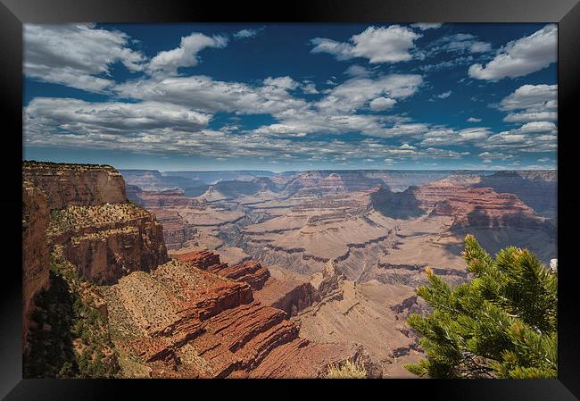  The Grand Canyon Arizona USA Framed Print by Greg Marshall