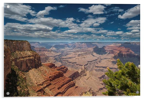  The Grand Canyon Arizona USA Acrylic by Greg Marshall