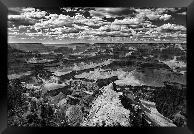 The Grand Canyon Arizona USA Framed Print by Greg Marshall