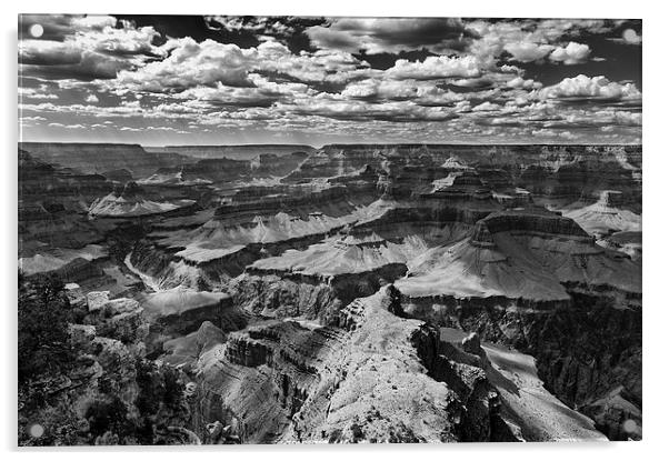 The Grand Canyon Arizona USA Acrylic by Greg Marshall