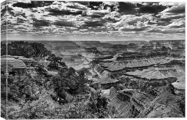 The Grand Canyon and Colorado River  Canvas Print by Greg Marshall