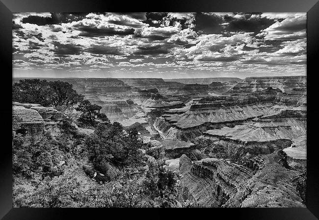 The Grand Canyon and Colorado River  Framed Print by Greg Marshall