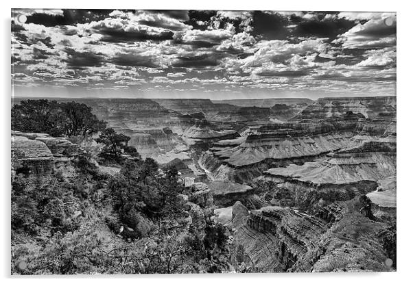 The Grand Canyon and Colorado River  Acrylic by Greg Marshall